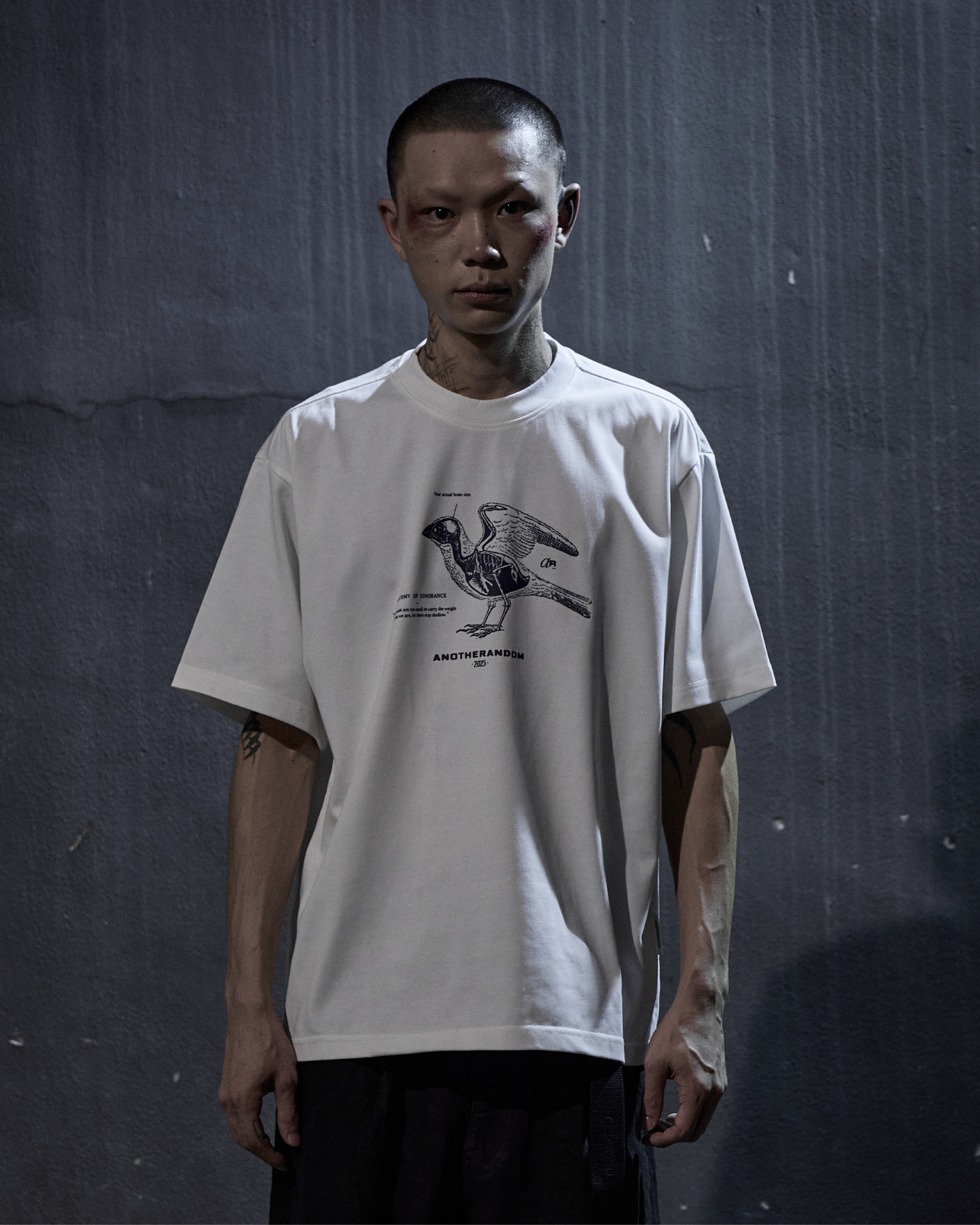 Anatomy of Ignorance